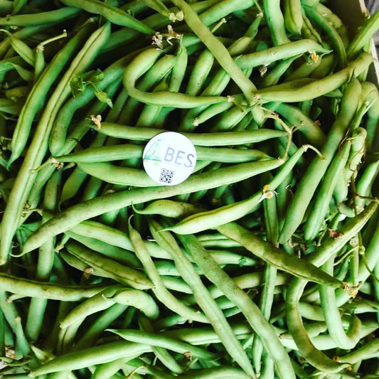 FAGIOLINI BIO - 1 Kg