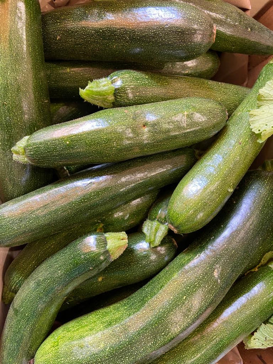 ZUCCHNE GENOVESI BIO - 1 Kg