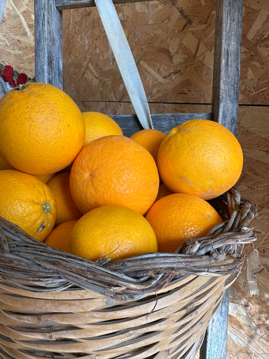 ARANCE VANIGLIA BIOLOGICHE - 3 Kg