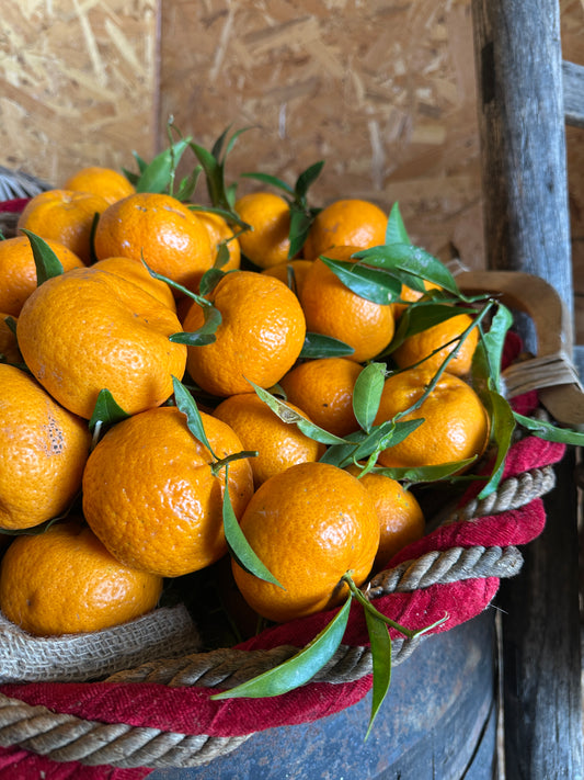 MANDARINI BIOLOGICI - 3 Kg